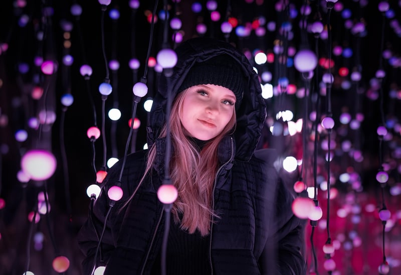 Whimsical Fairy Lights